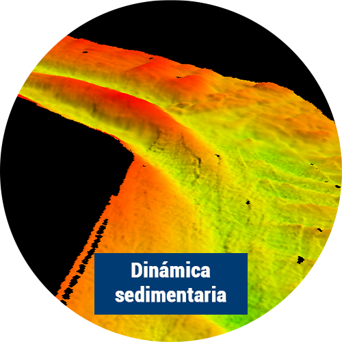 dinámica sedimentaria