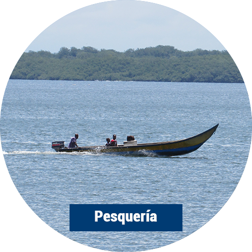 pesqueria