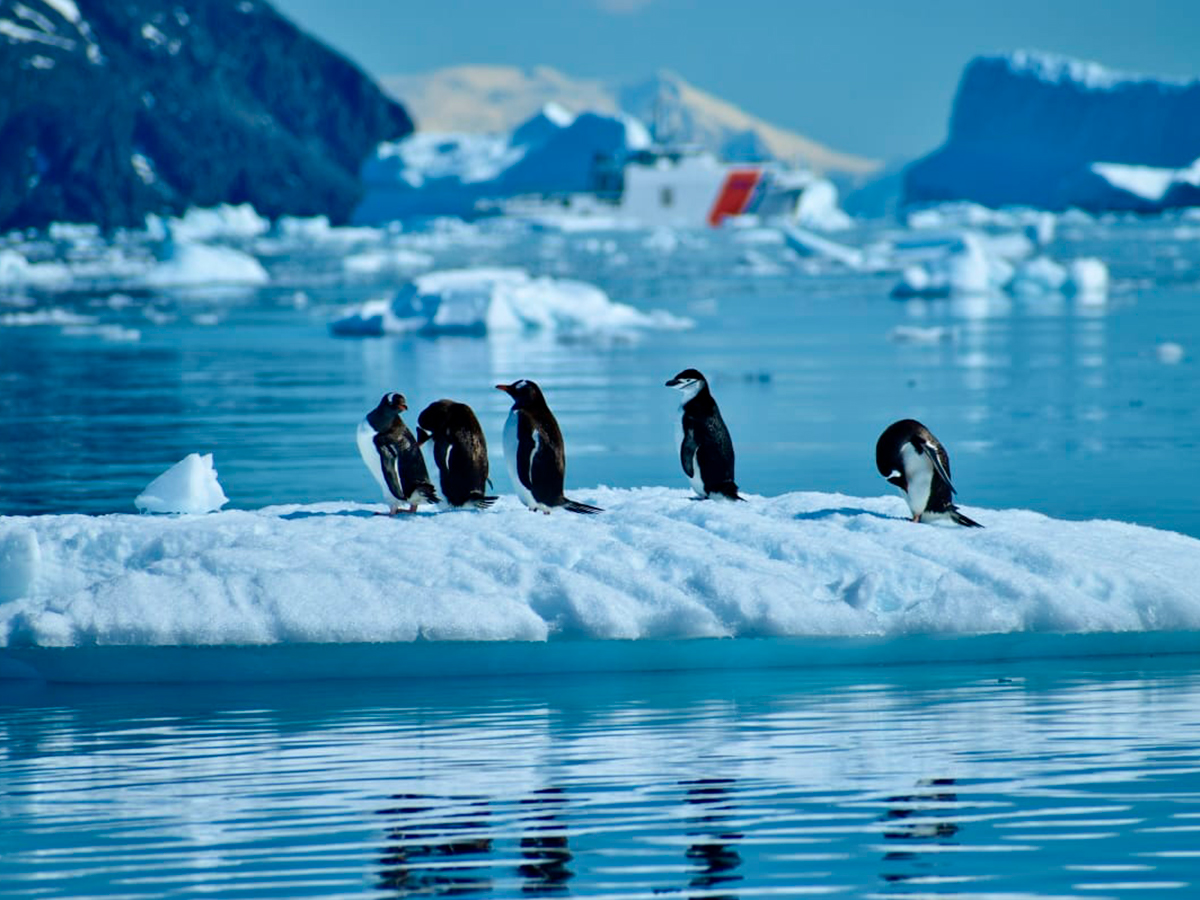 NT-ANTARTICA-G-10.1