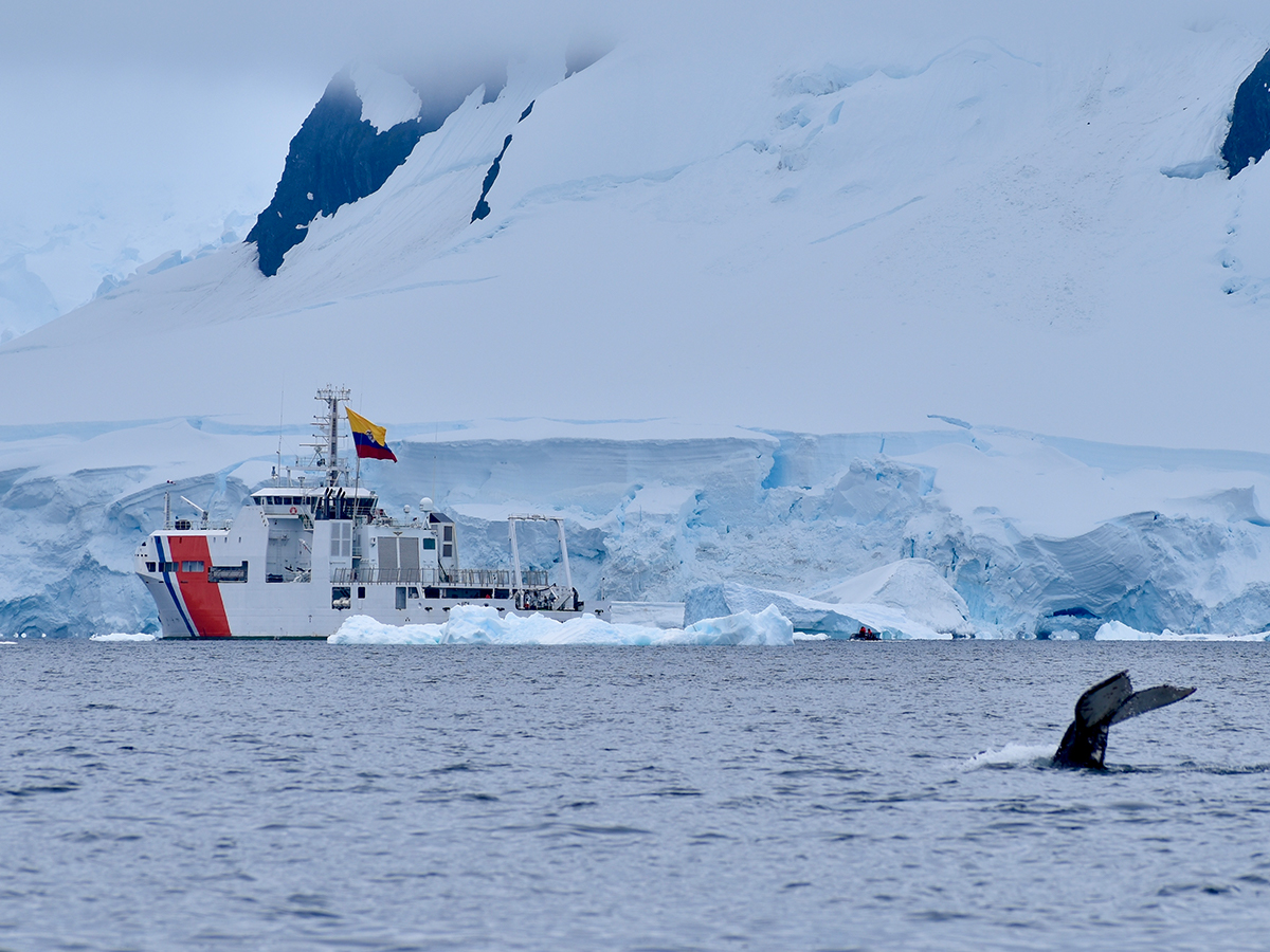 NT-ANTARTICA-G-6.1