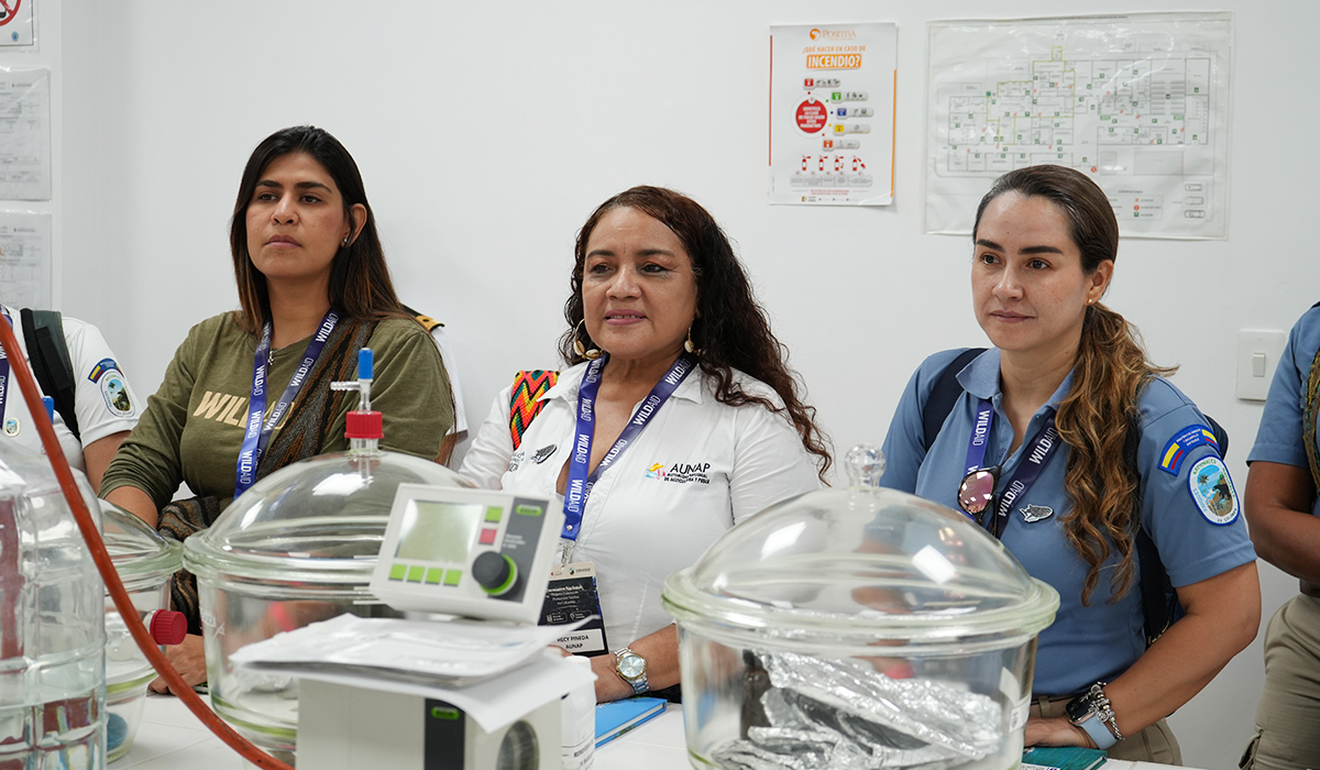 Liderazgo en conservación marína 8