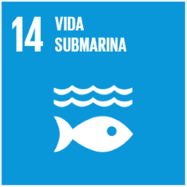 submarina14